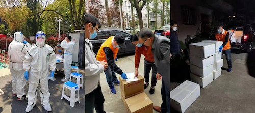 拼接图.jpeg
